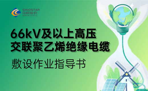 66kV�����ϸ�ѹ��������ϩ��Ե���·�����ҵָ����