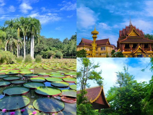 16951056321235625clq.jpg b886c5b0f2642f0cbe7b2c3599cfadf(1).jpg