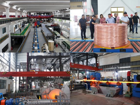 16951123282367498bnx.jpg bbe8780f2aa0c750c606c92d484fdf9(1).jpg