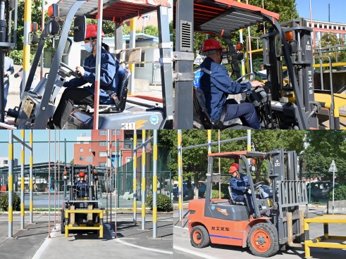 1699433377628395MCP3.jpg beabab3489104c962465bae9d39c795(1).jpg