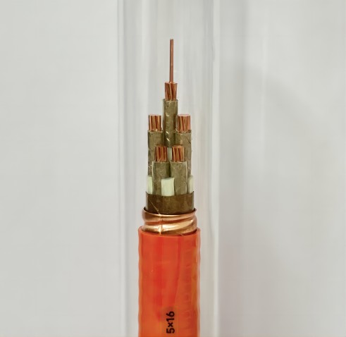 1706081009429163L5C9.jpg ΢ÐÅͼƬ_20240123132543(1).jpg