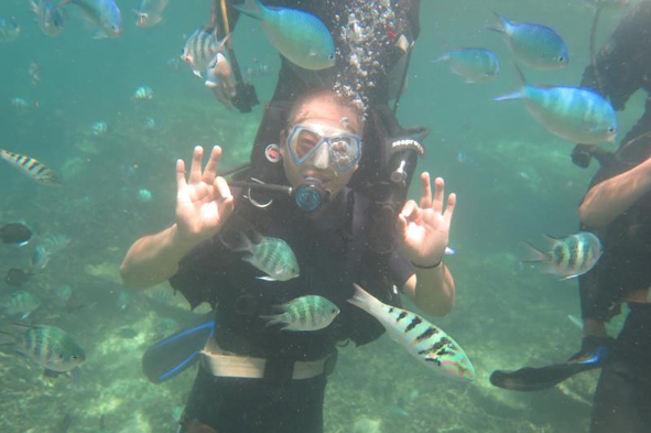 尊龙凯时 - 人生就是搏!