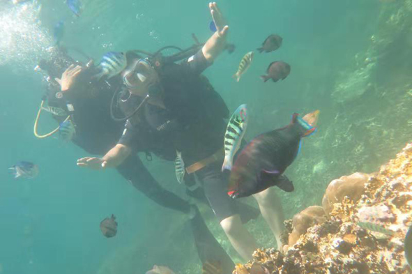 尊龙凯时 - 人生就是搏!