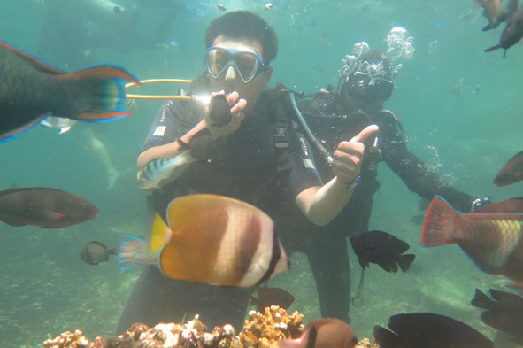 尊龙凯时 - 人生就是搏!